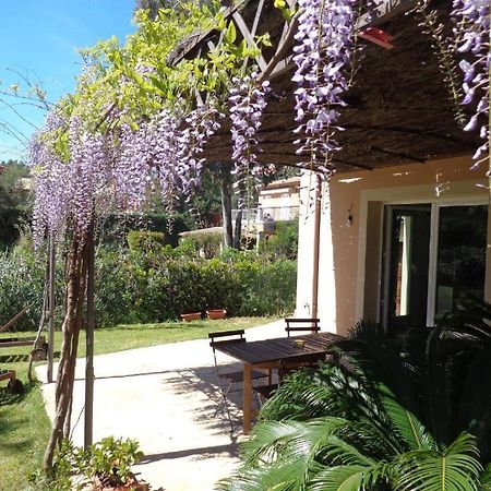 Villa Angelina Garden Grimaud Zewnętrze zdjęcie