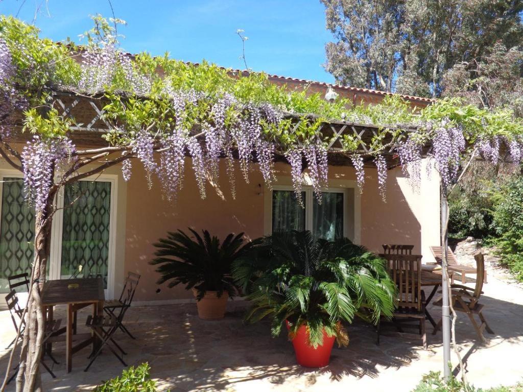 Villa Angelina Garden Grimaud Zewnętrze zdjęcie